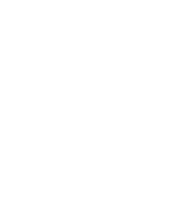 Torqtron